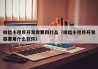 微信小程序开发需要用什么（微信小程序开发需要用什么软件）