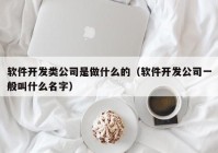 软件开发类公司是做什么的（软件开发公司一般叫什么名字）