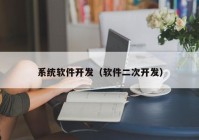 系统软件开发（软件二次开发）