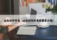 山东软件开发（山东软件开发需要多少钱）