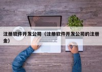 注册软件开发公司（注册软件开发公司的注册金）